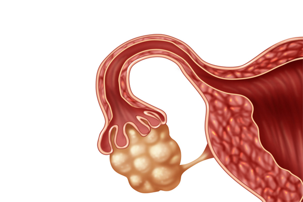 �ѳ��^(gu��)��