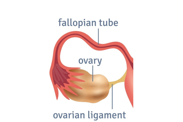 ݔ�ѹ܆�(w��n)�}