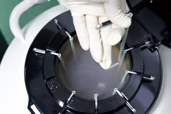 ԇ�܋냺��ʲô��Ҫ�����̥?