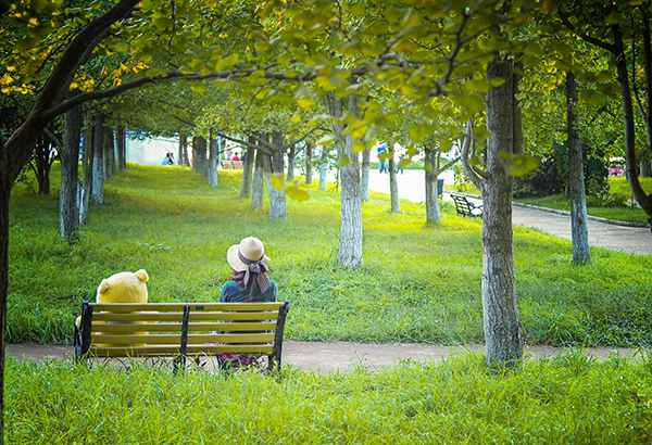 ��(x��)�T�����a(ch��n)