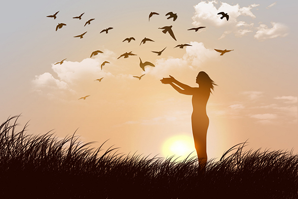 �����ѳ��C����