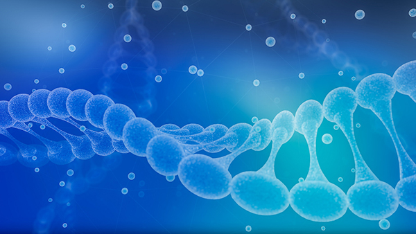 ԇ�܋냺���g(sh��)