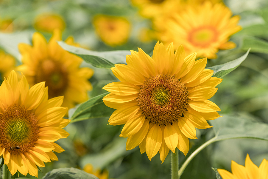 �ӌm��(n��i)Ĥ��λ�Y