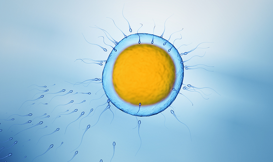 ���˹��ھ�