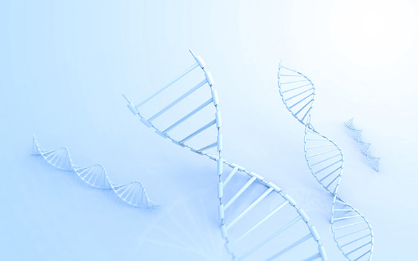 ����ʧ��