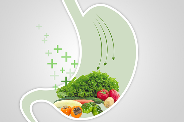 �������L��(n��i)Ĥ��