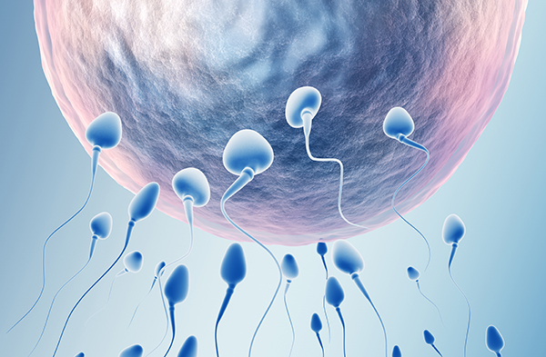 �˹��ھ����g(sh��)