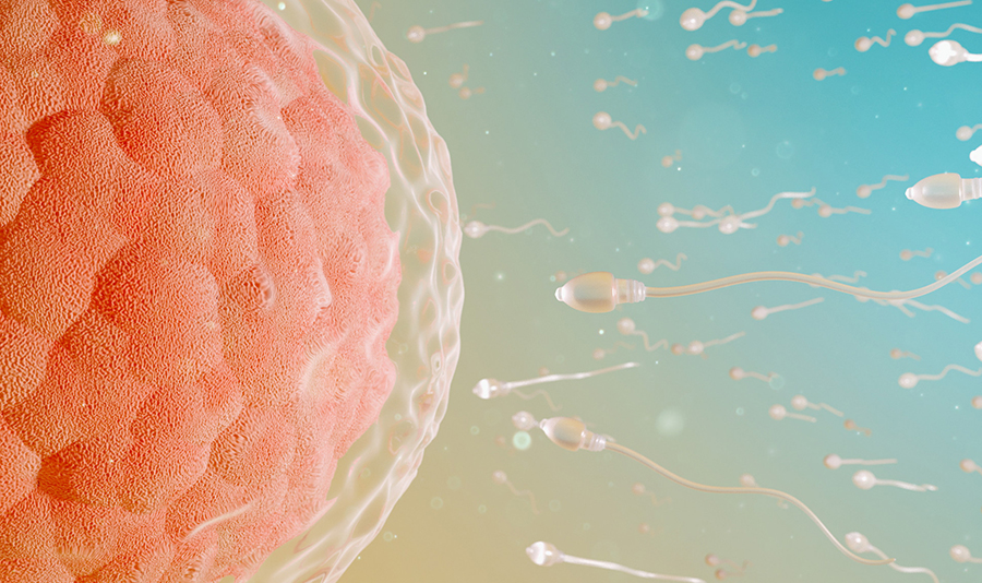 ���Ӻ�����