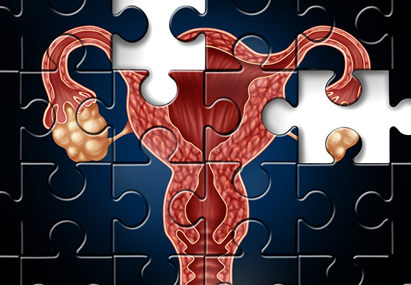 �ӌm��(n��i)Ĥ��λ�Y