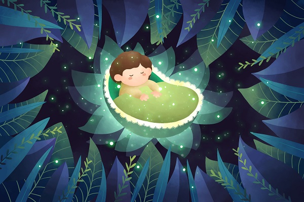 ��ԇ���x����һ�N��̥��ֲ����?