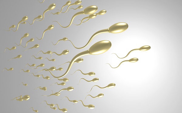 ����DNA��Ƭ��ʲô?��(du��)ԇ�܋냺�ί���Ӱ푆�?