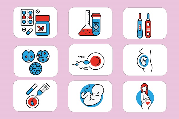 正常做試管嬰兒取多少卵子合適?