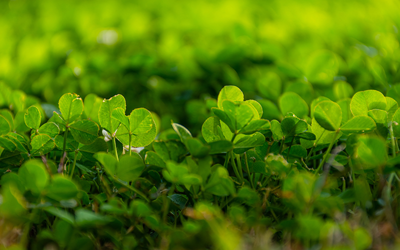 �˹��ھ��^��