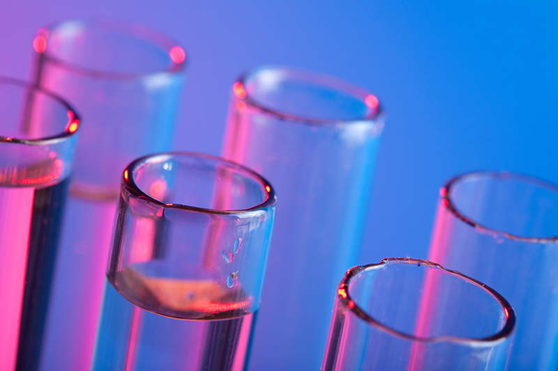 ���ӵı���