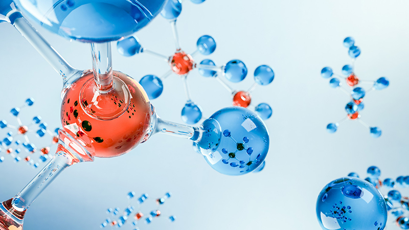 �t(y��)�����g(sh��)