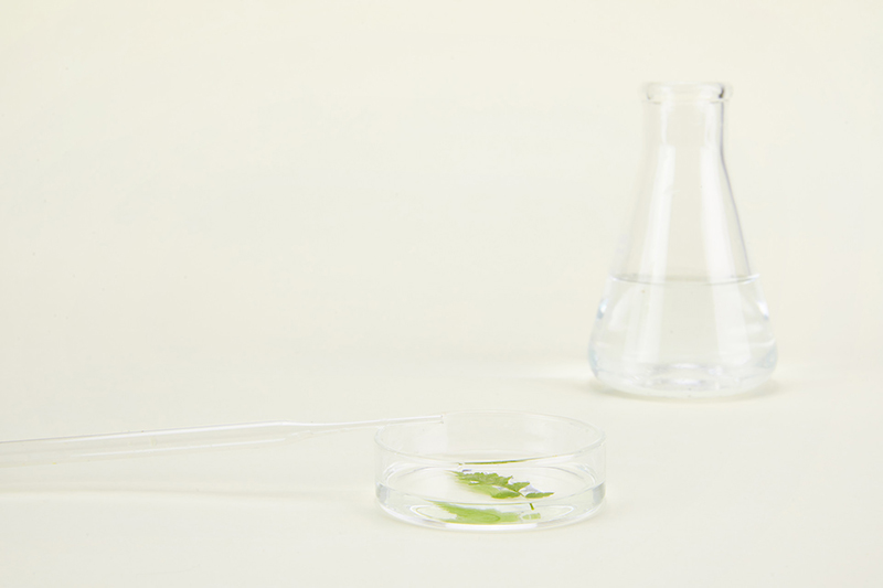 �t(y��)�����g(sh��)