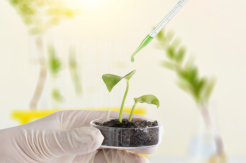 �t(y��)�����g