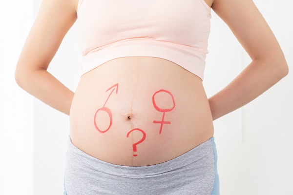 ԇ�܋냺,ԇ�܋냺�Ԅe,����ԇ���x�Ԅe