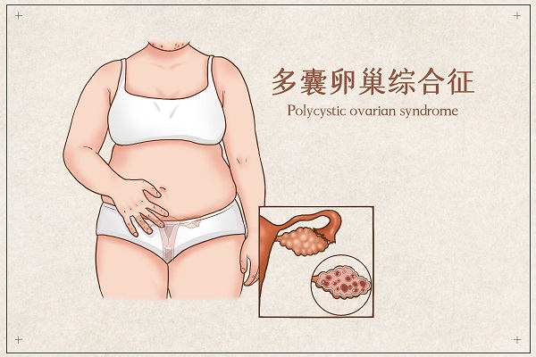 �����ѳ��C����,�����ѳ����²���,�����ѳ���ԇ��