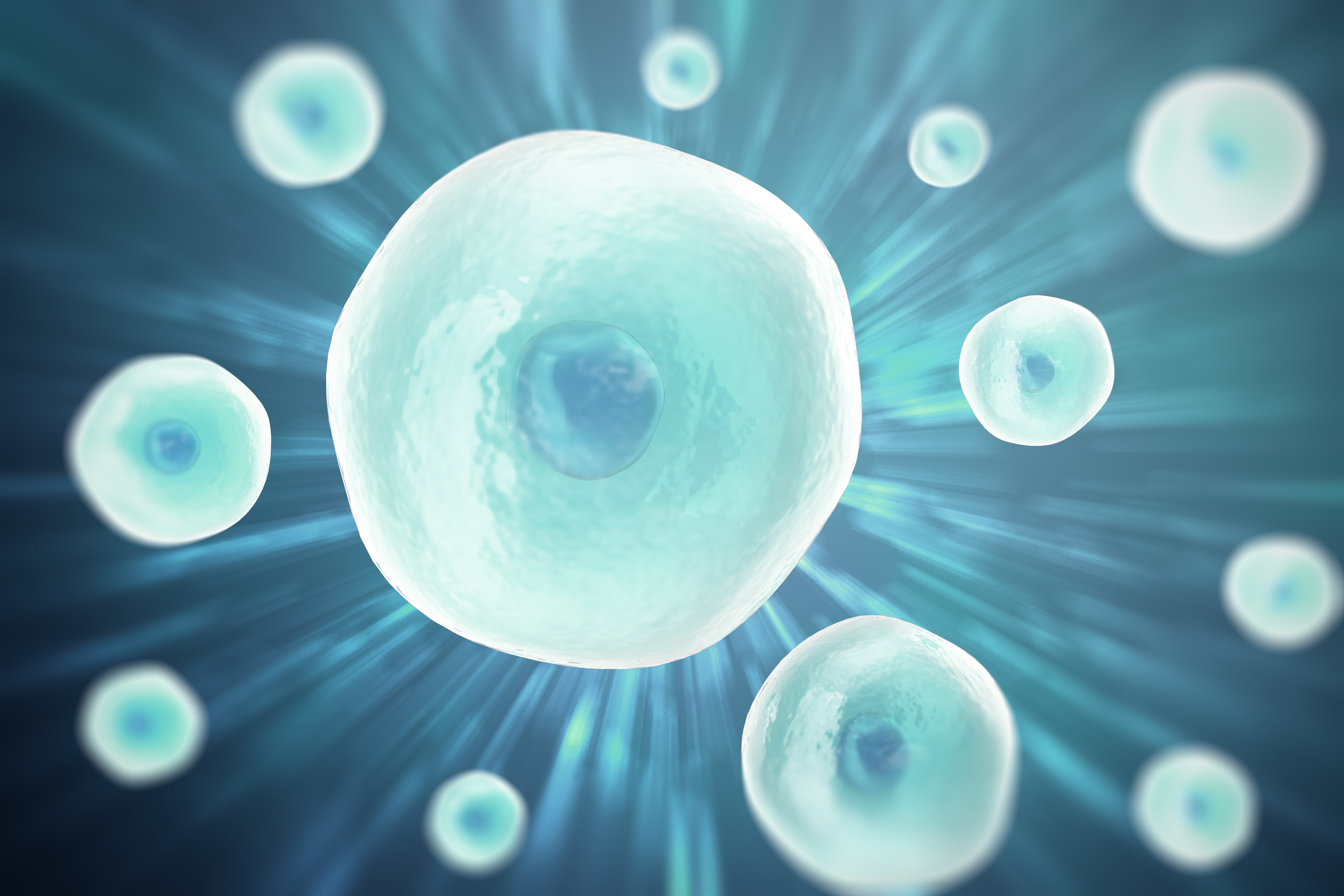 ��(y��u)�|(zh��)����ԓ��ô�B(y��ng)?