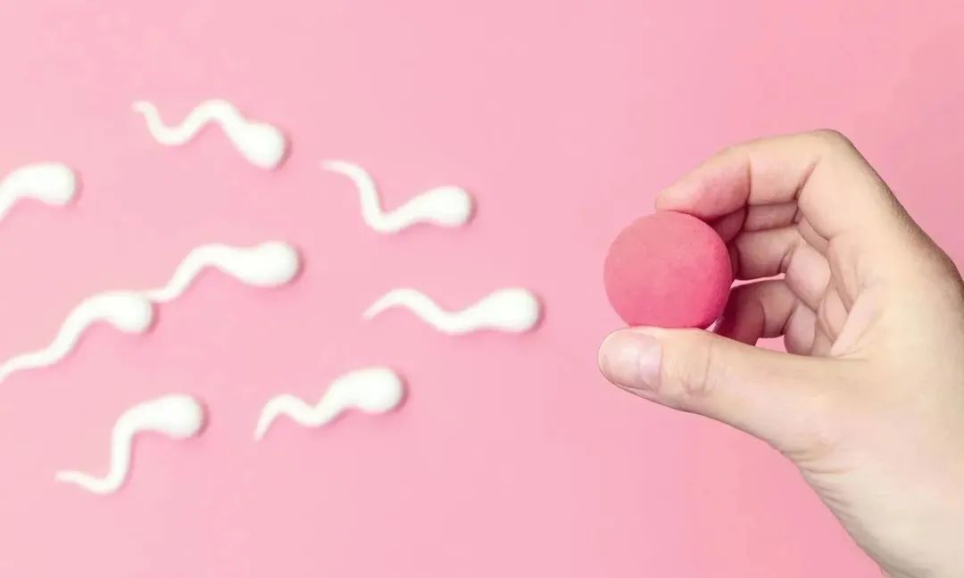 �������Բ�������Щ�z��?