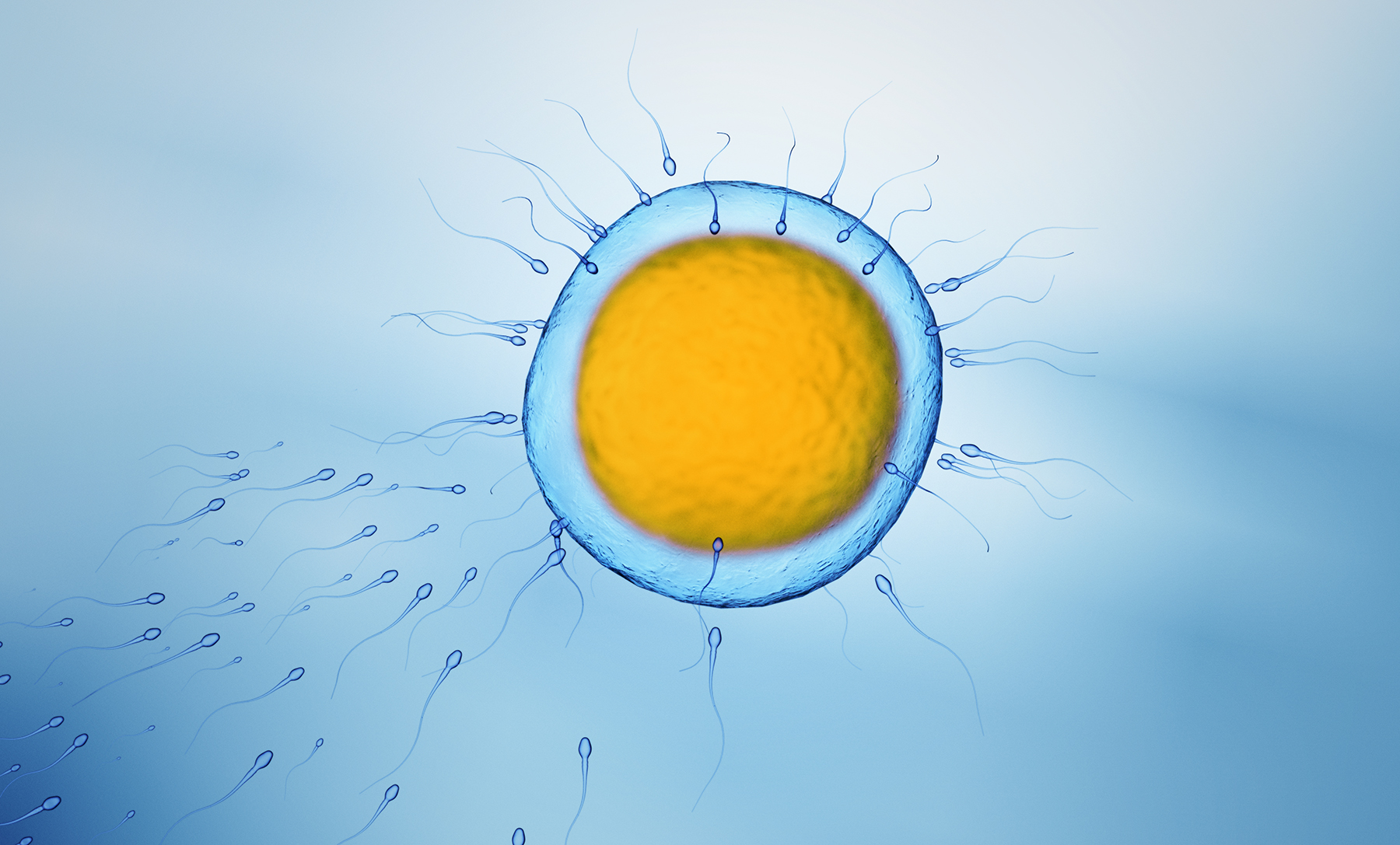 昆明試管嬰兒會(huì)取出所有卵子嗎?